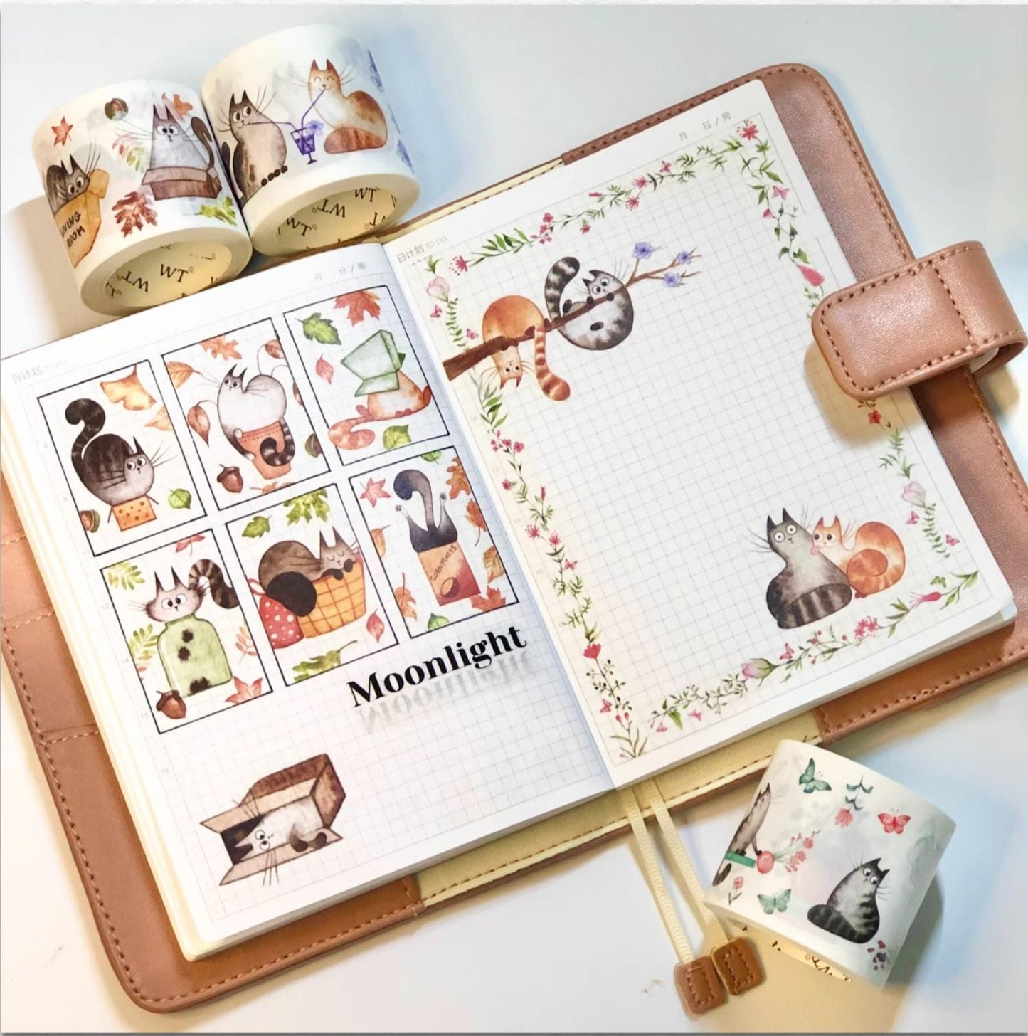 The Washi Tape Shop - Chonky Cat - Washi Tape and Stickers Set (4 Rolls)