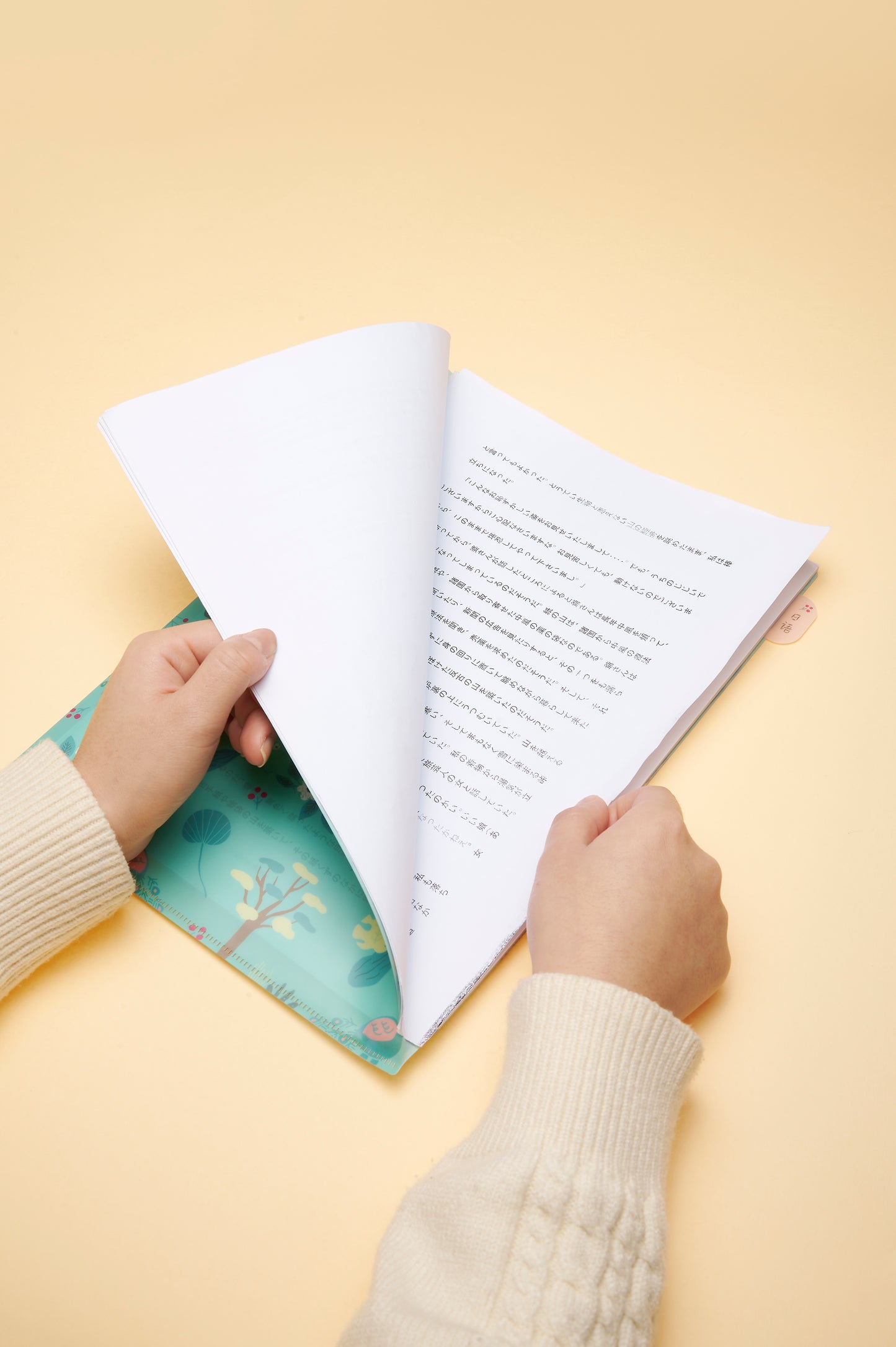 Midori Index Clear Folder Single Pocket A4 (Set of 2)