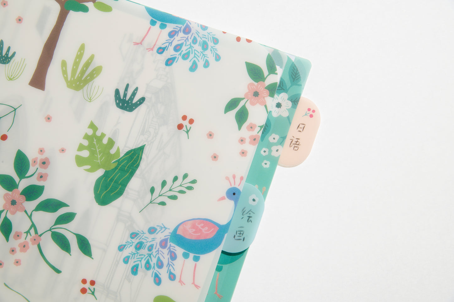 Midori Index Clear Folder Single Pocket A4 (Set of 2)