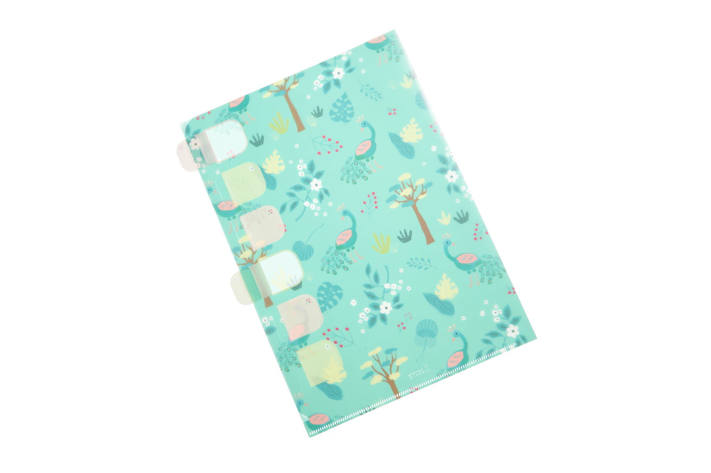 Midori Index Clear Folder Single Pocket A4 (Set of 2)