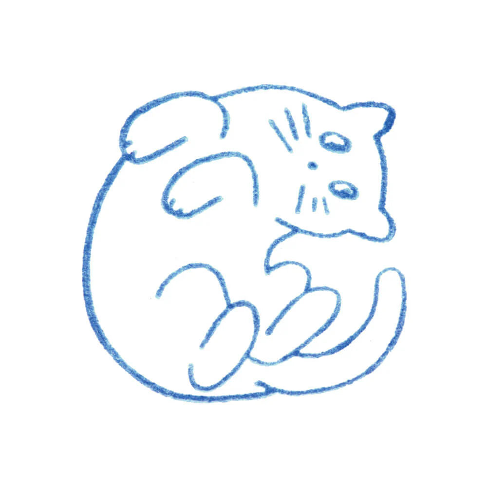King Jim Kori Jirushi Clear Stamps - Large - Cat
