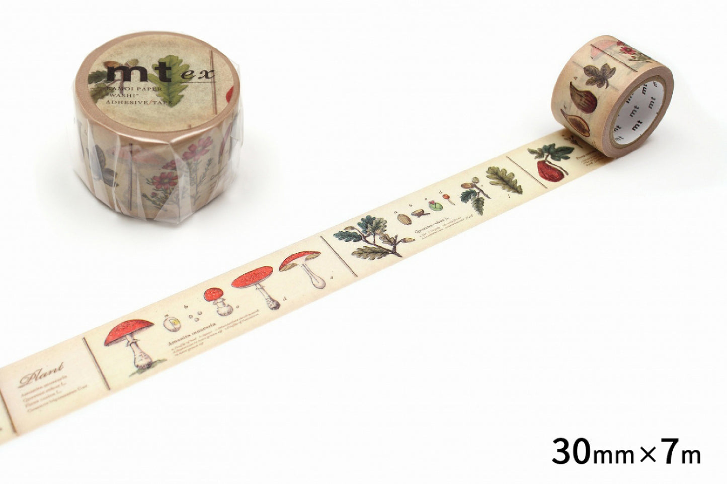 MT Washi Tape - EX - Illustrated Guide to Plants (30mm)