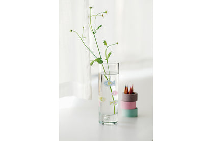 MT Washi Tape - Writing and Drawing - Pastel Green (20mm)